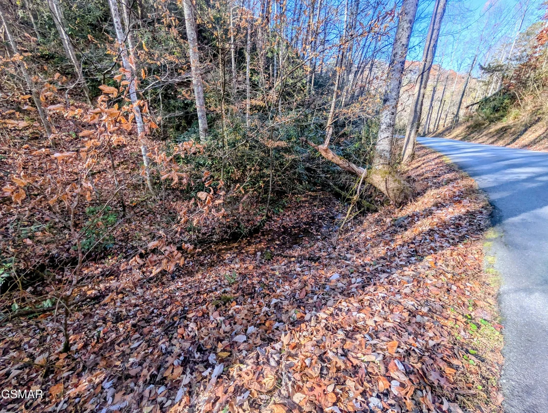 Photo of Lot 1908 Rose Pass