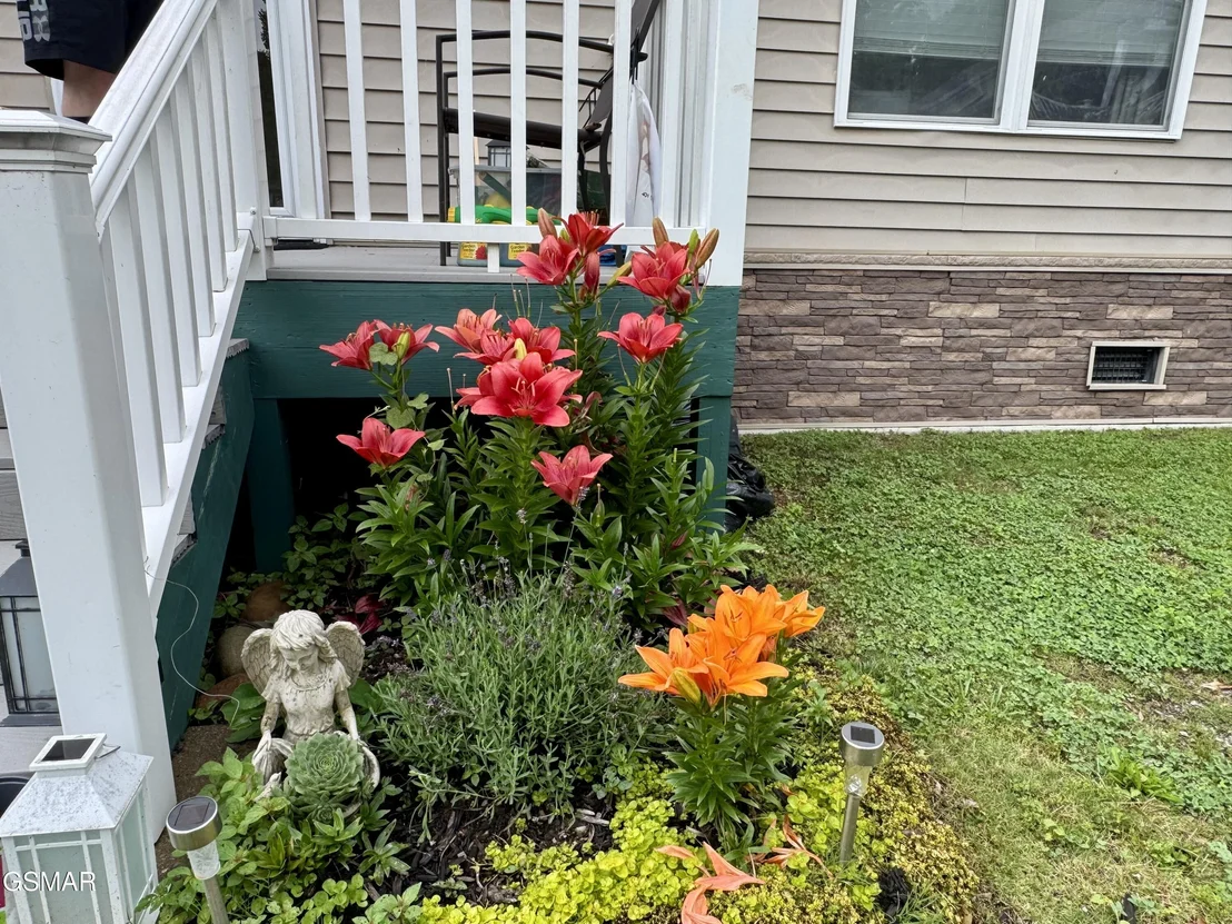 Photo of 401 Mountain Thrush Drive