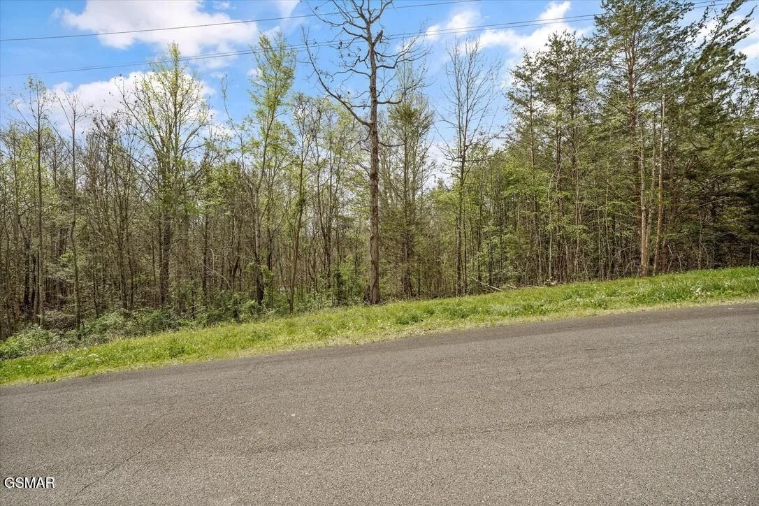 Photo of 1433 Timber Trail