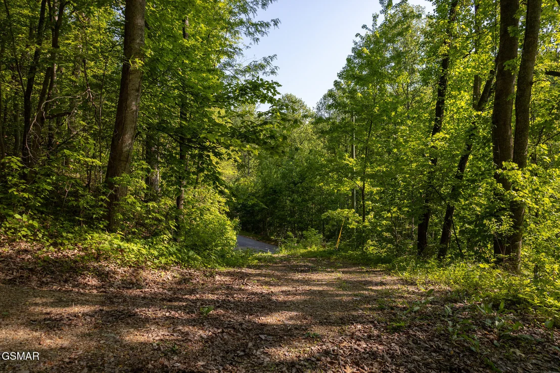 Photo of 1017/1035 Big Buck Trail