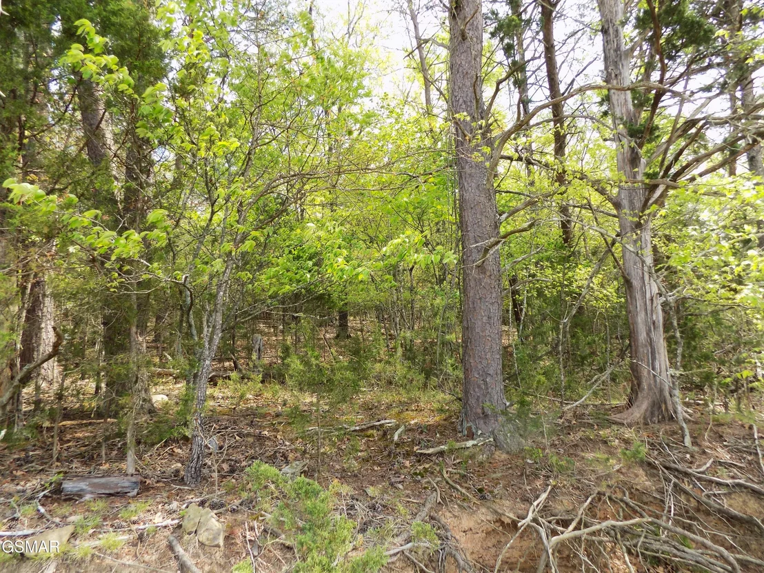 Photo of 3753 Lake Point Drive