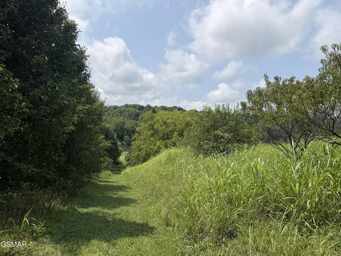 Photo of 245 Cherokee Explosive Road