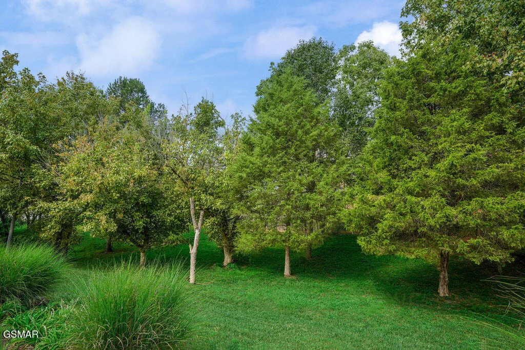 Photo of 1202 Foxwood Drive