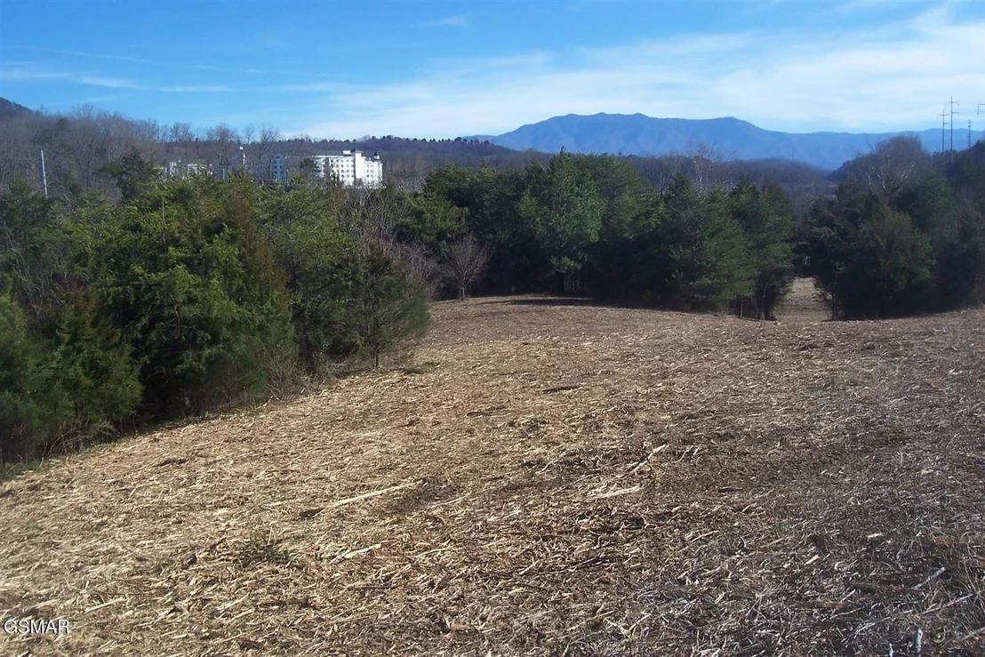 Photo of Tr 4 Veterans Blvd Boulevard