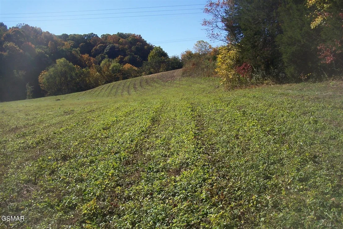 Photo of Tr 4 Veterans Blvd Boulevard