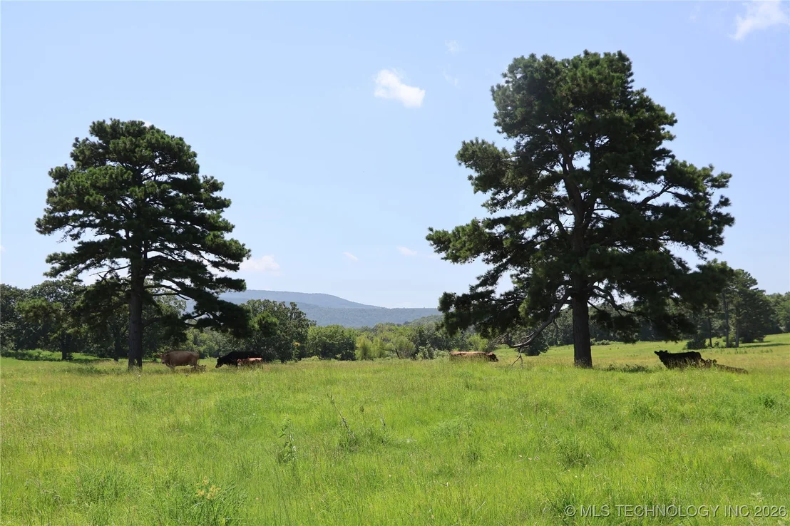 Photo of 37280 Morris Creek