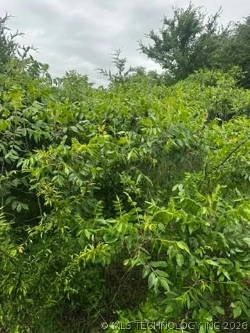Photo of 958 S Buffalo Road