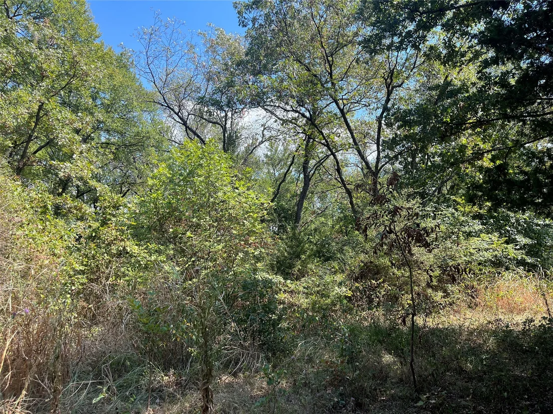 Photo of Kickapoo Avenue