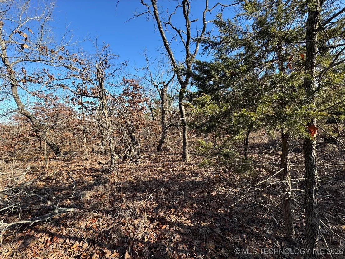Photo of 2501 Lott Bottom