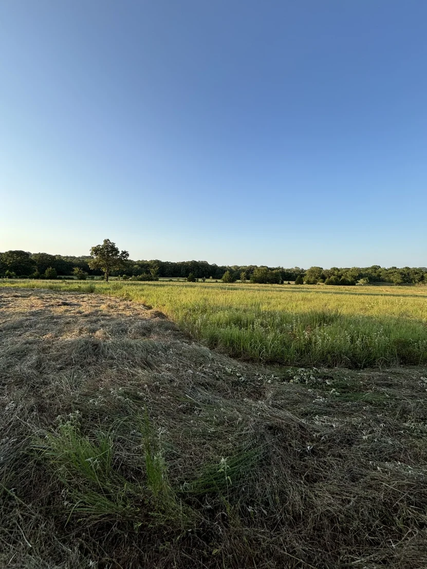 Photo of 28584 County Road 1580