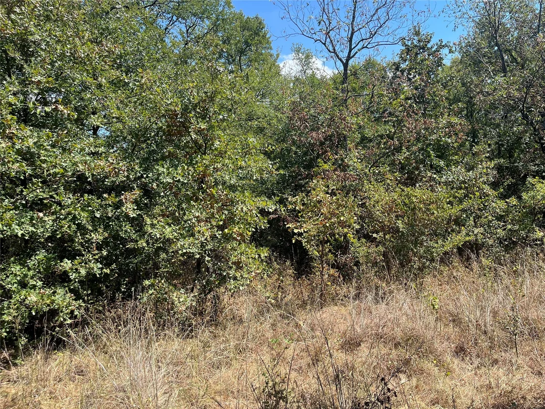 Photo of Kickapoo Avenue