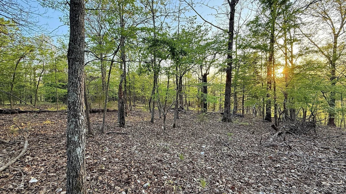 Photo of 2345 Overlook Drive