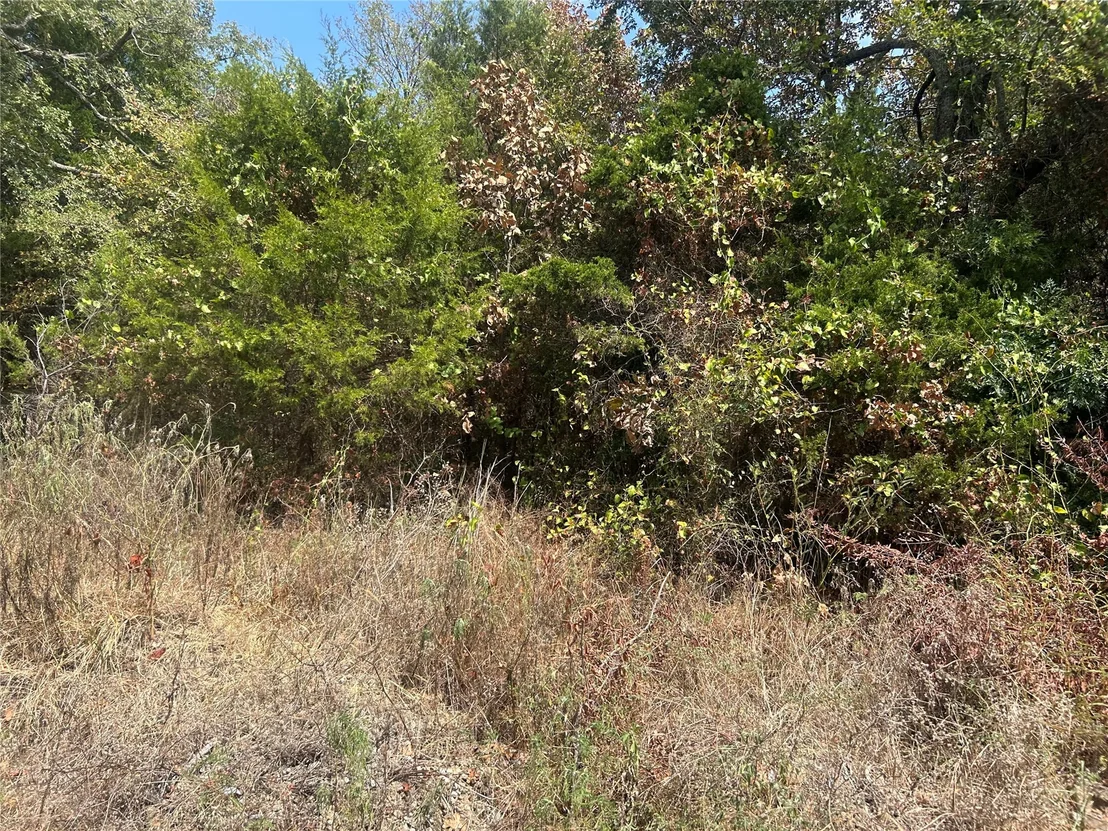 Photo of 36 Betty Road