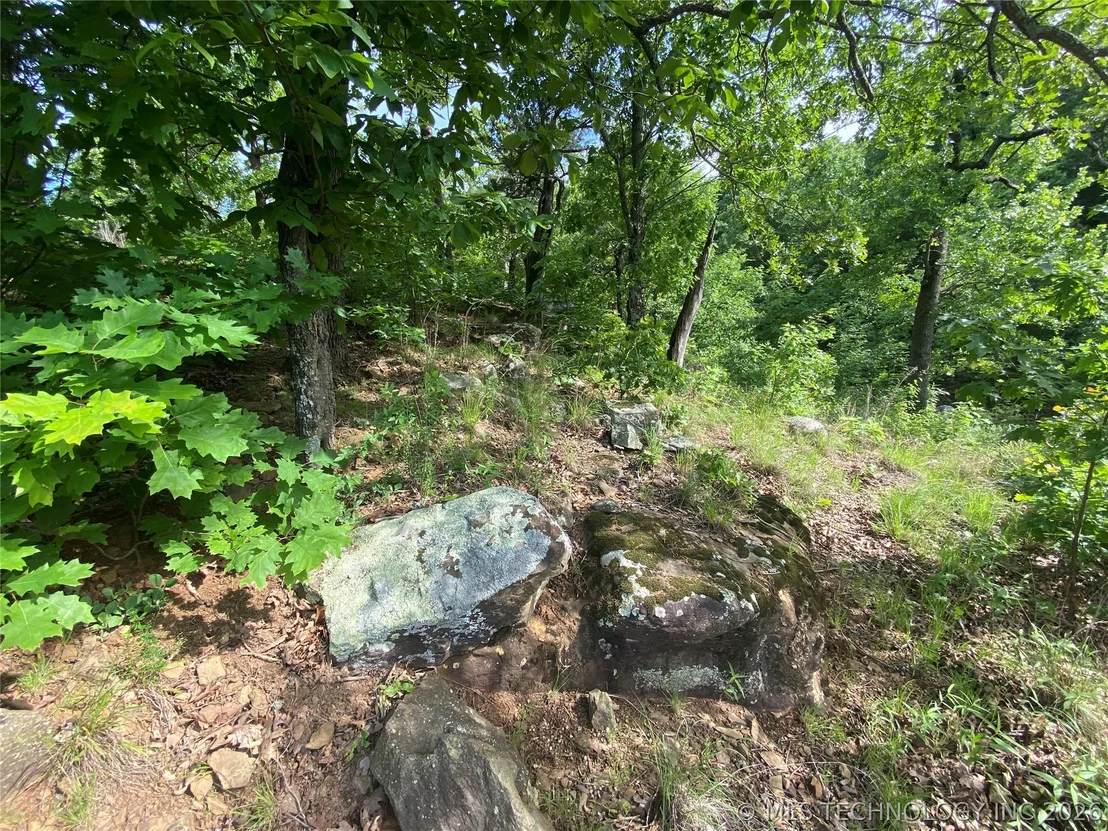 Photo of 12 Cherokee Hills
