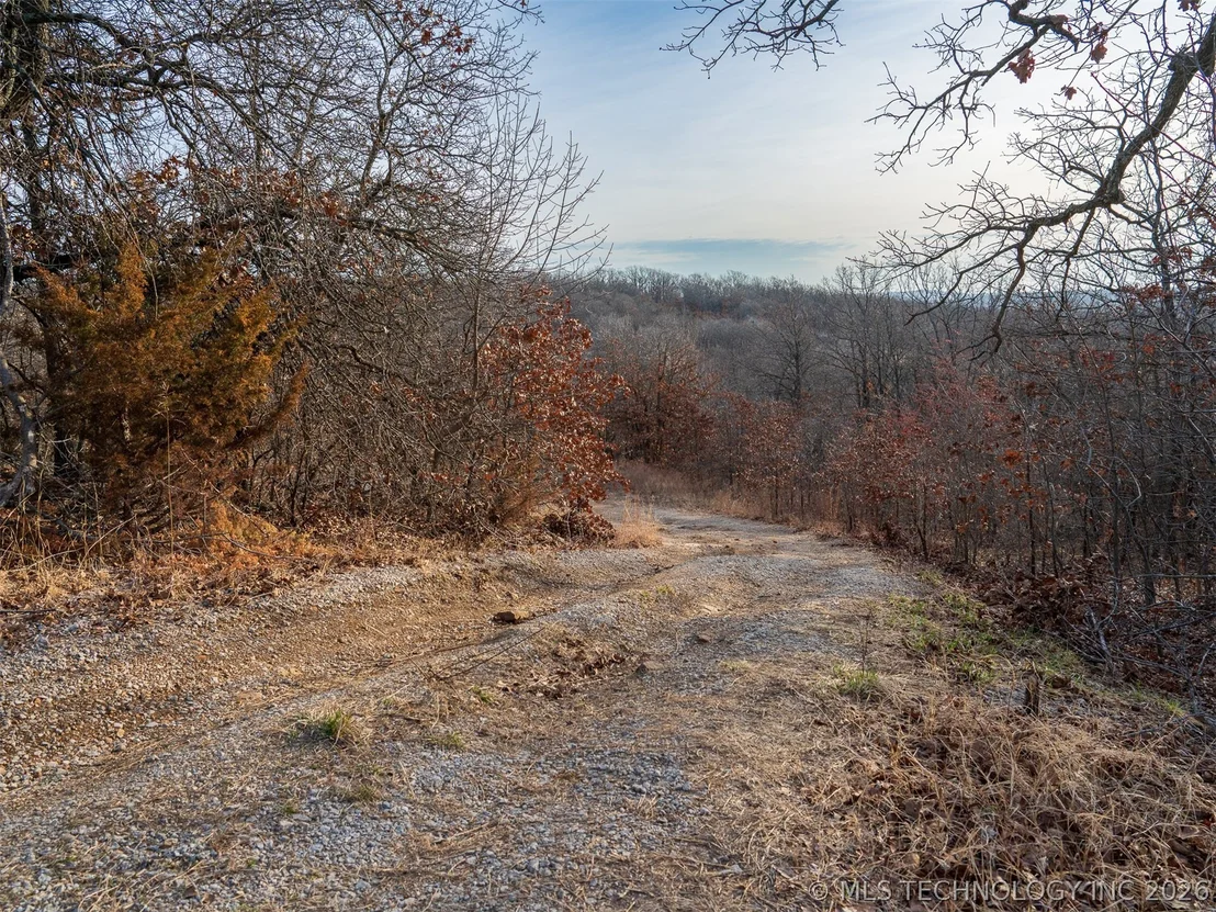 Photo of 235 County Road 2732