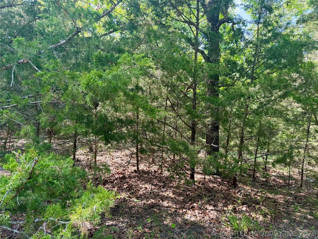 Photo of 17 Council Tree Drive