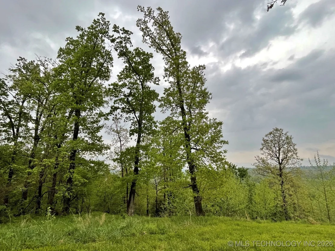 Photo of 1229 Pheasant Run Road