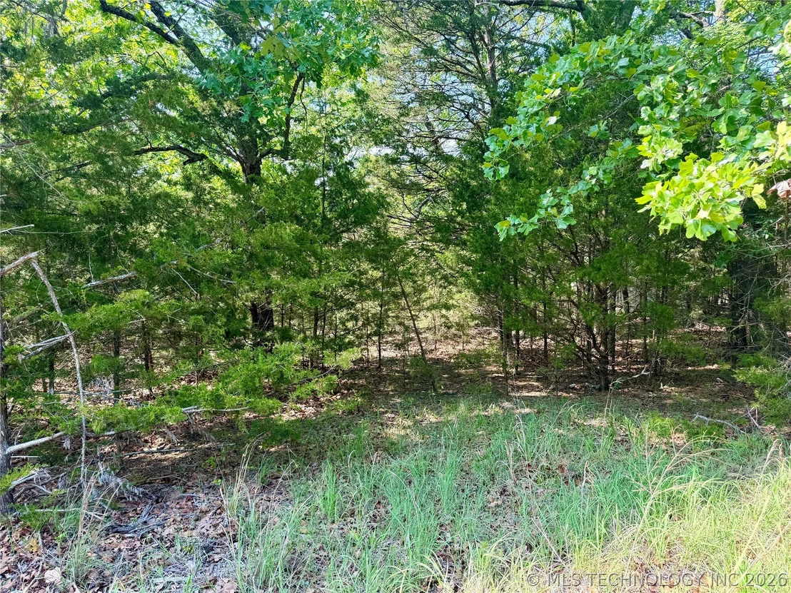 Photo of 17 Council Tree Drive