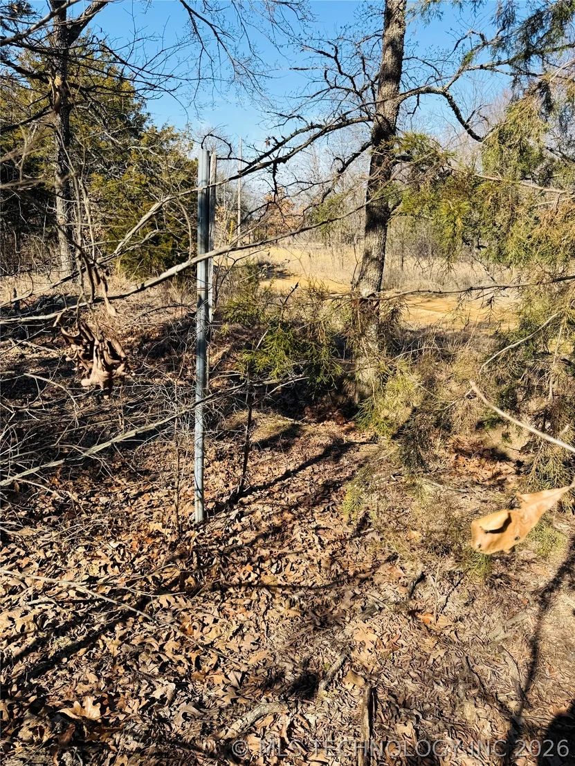 Photo of Mountain View