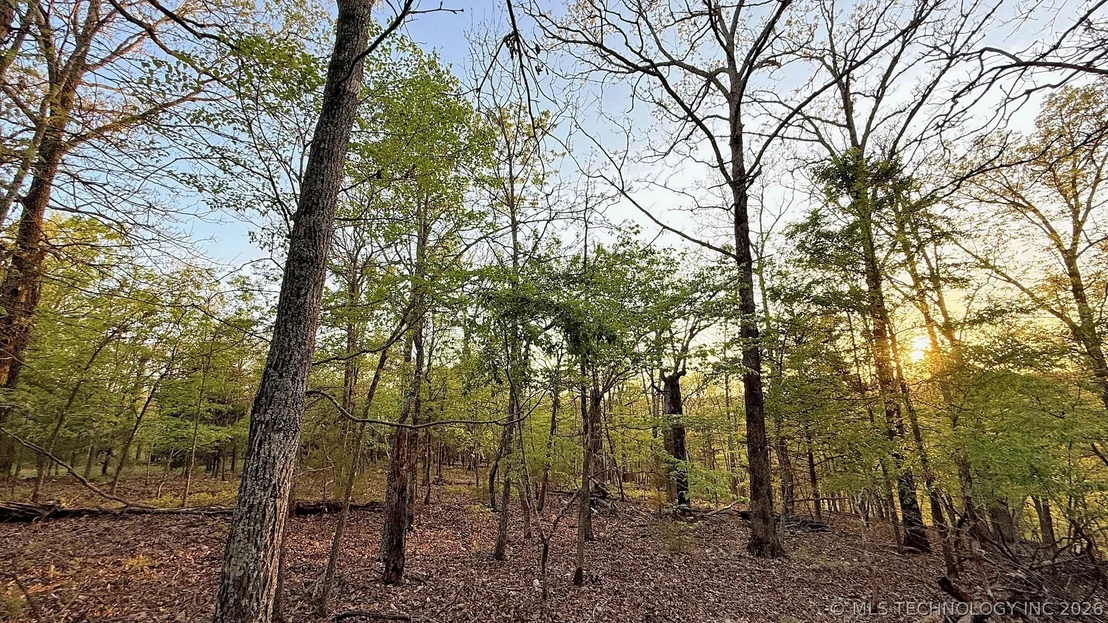 Photo of 2345 Overlook Drive