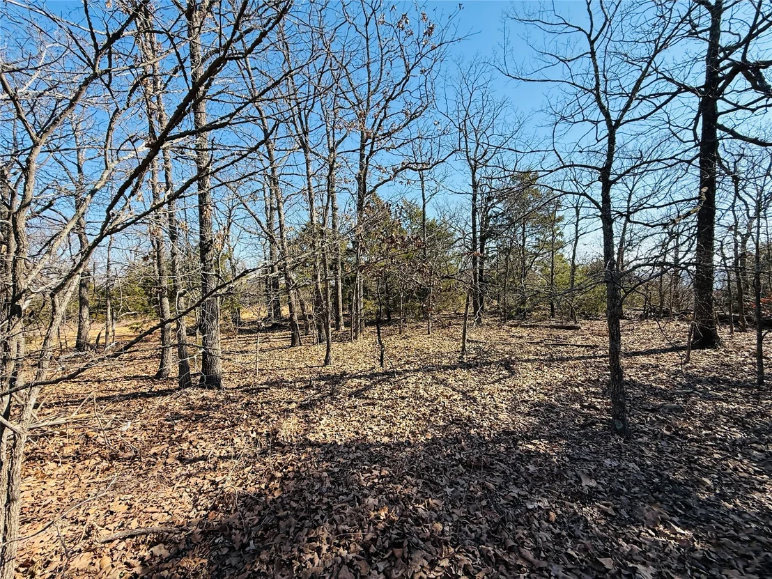 Photo of Mountain View Road