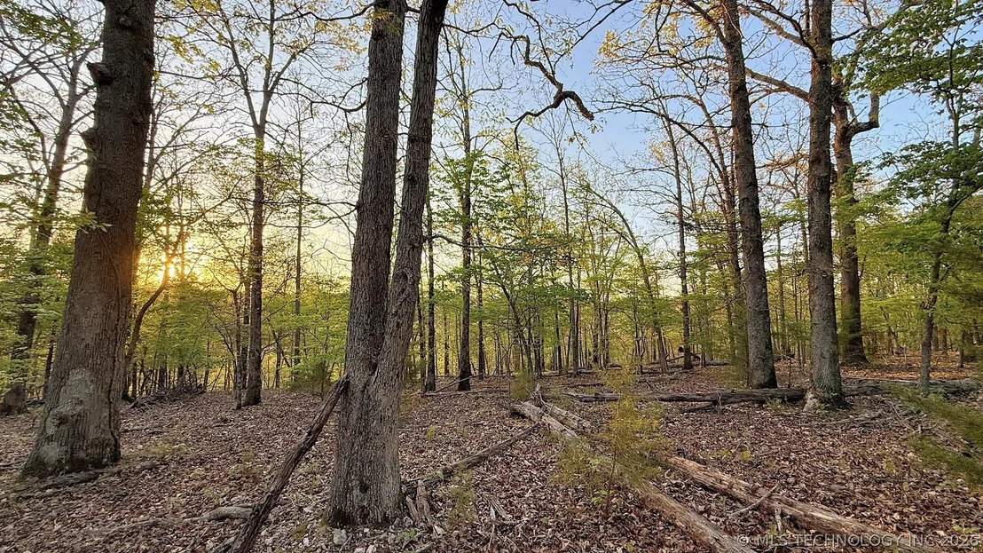 Photo of 2345 Overlook Drive