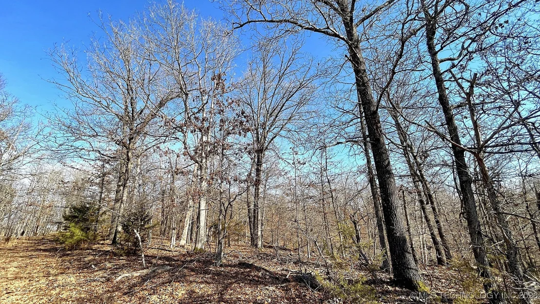 Photo of 2361 Overlook Trace