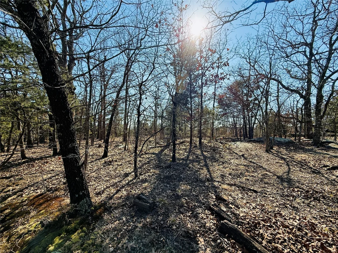 Photo of Mountain View Road