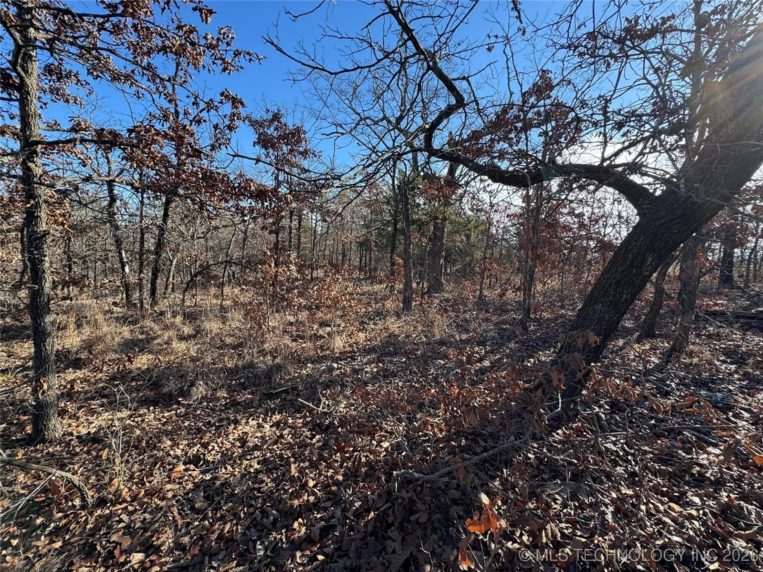 Photo of 2501 Lott Bottom