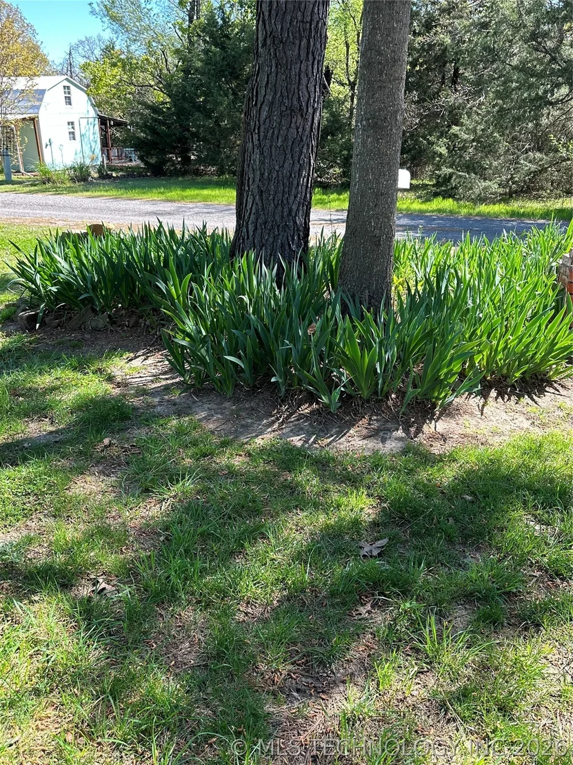 Photo of 101 Juniper Drive