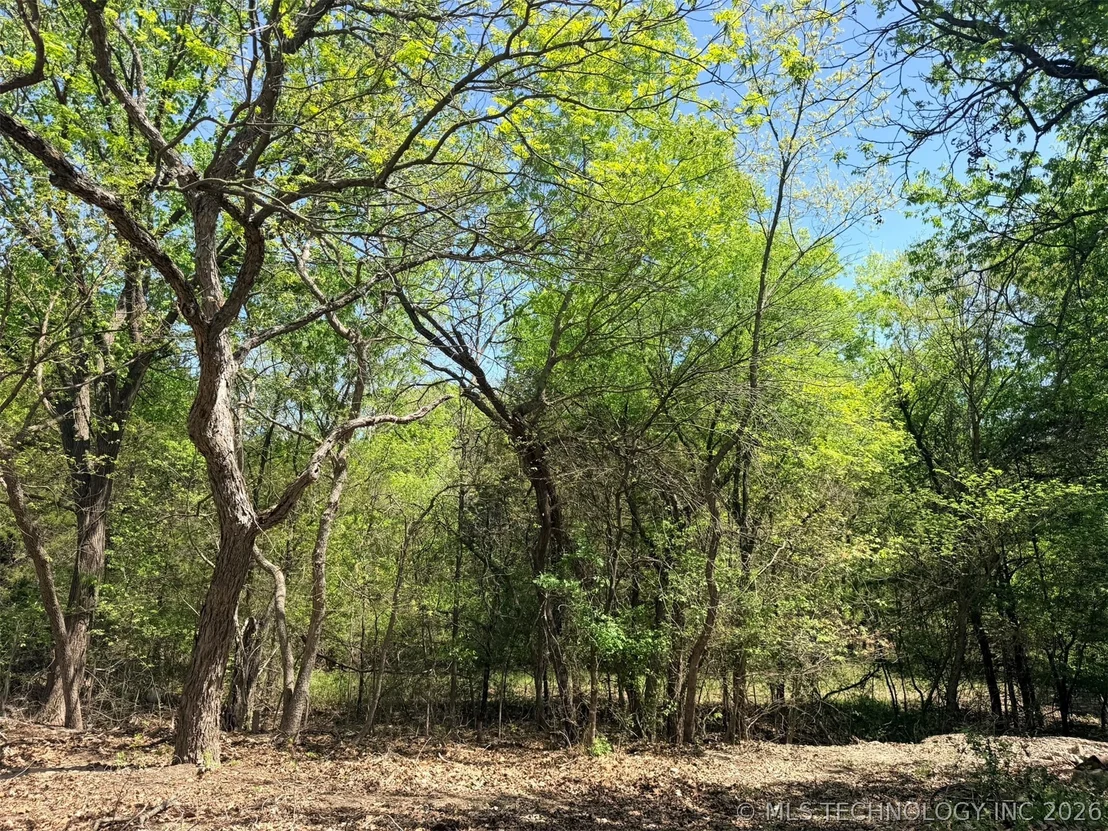 Photo of 280 Cedar Blue