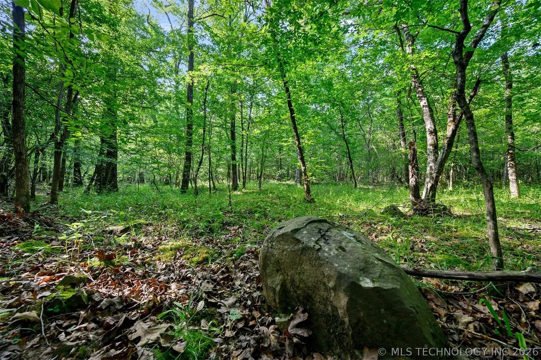 Photo of 66 Aged Acacia Trail