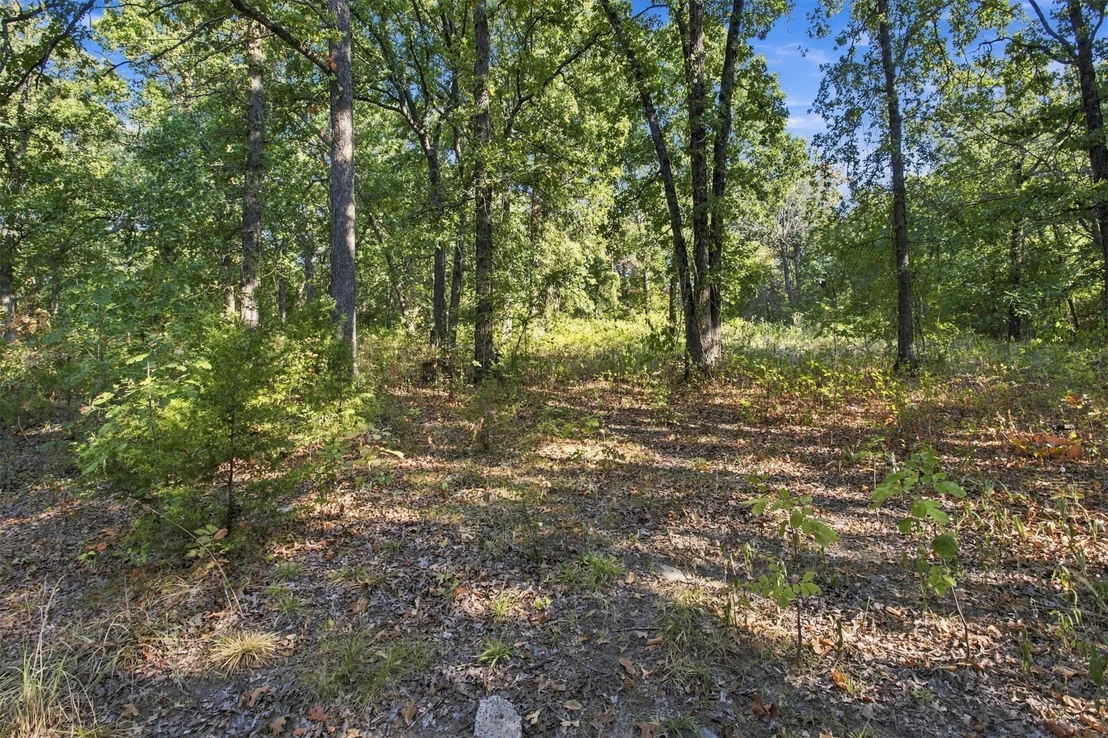 Photo of 113 Vanzandt