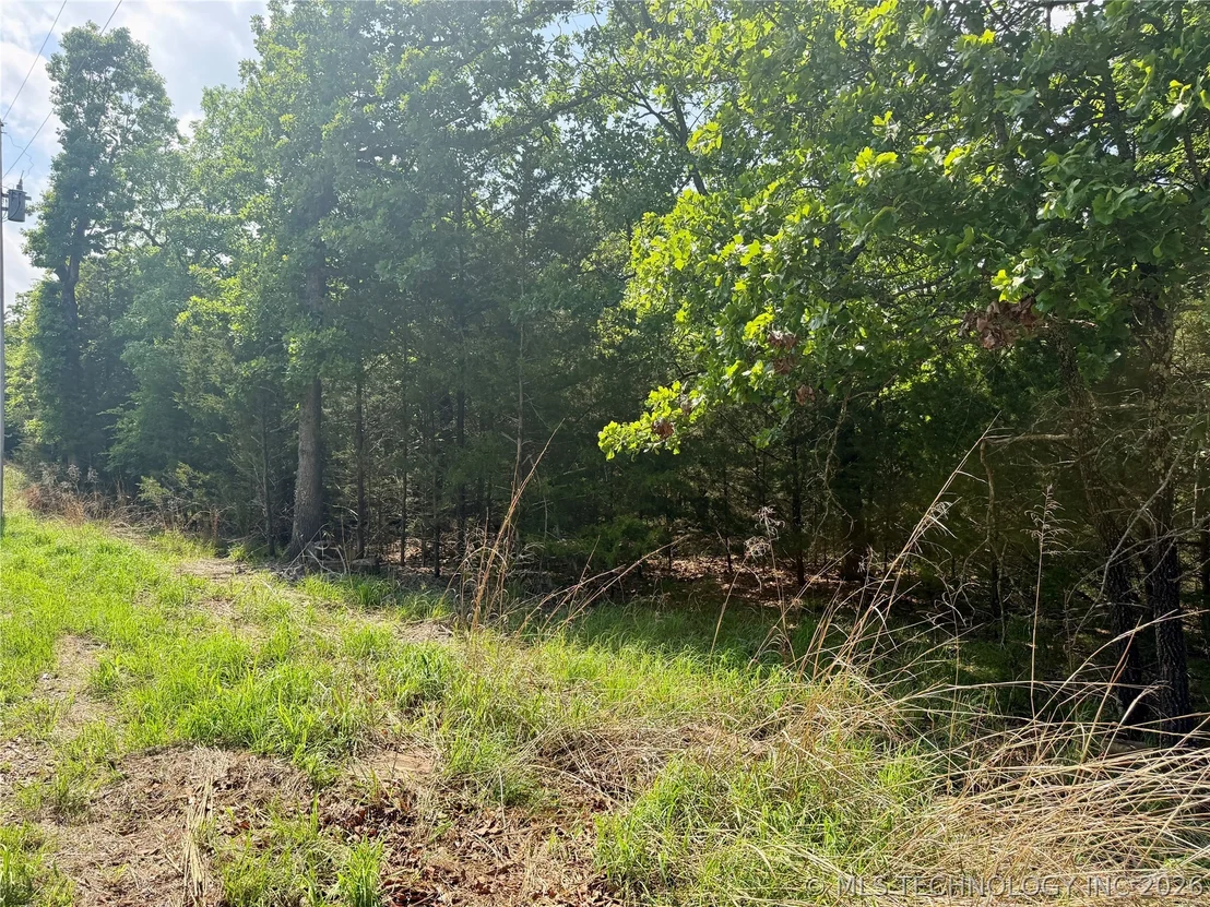 Photo of 17 Council Tree Drive