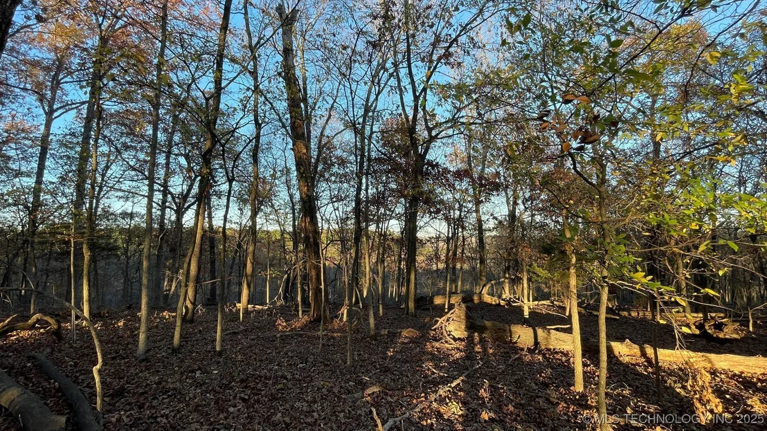 Photo of 1471 Birchbark Drive