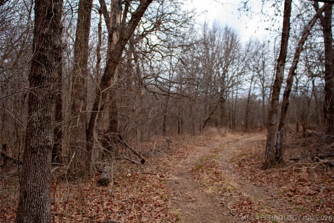 Photo of 28300 County Road 1590