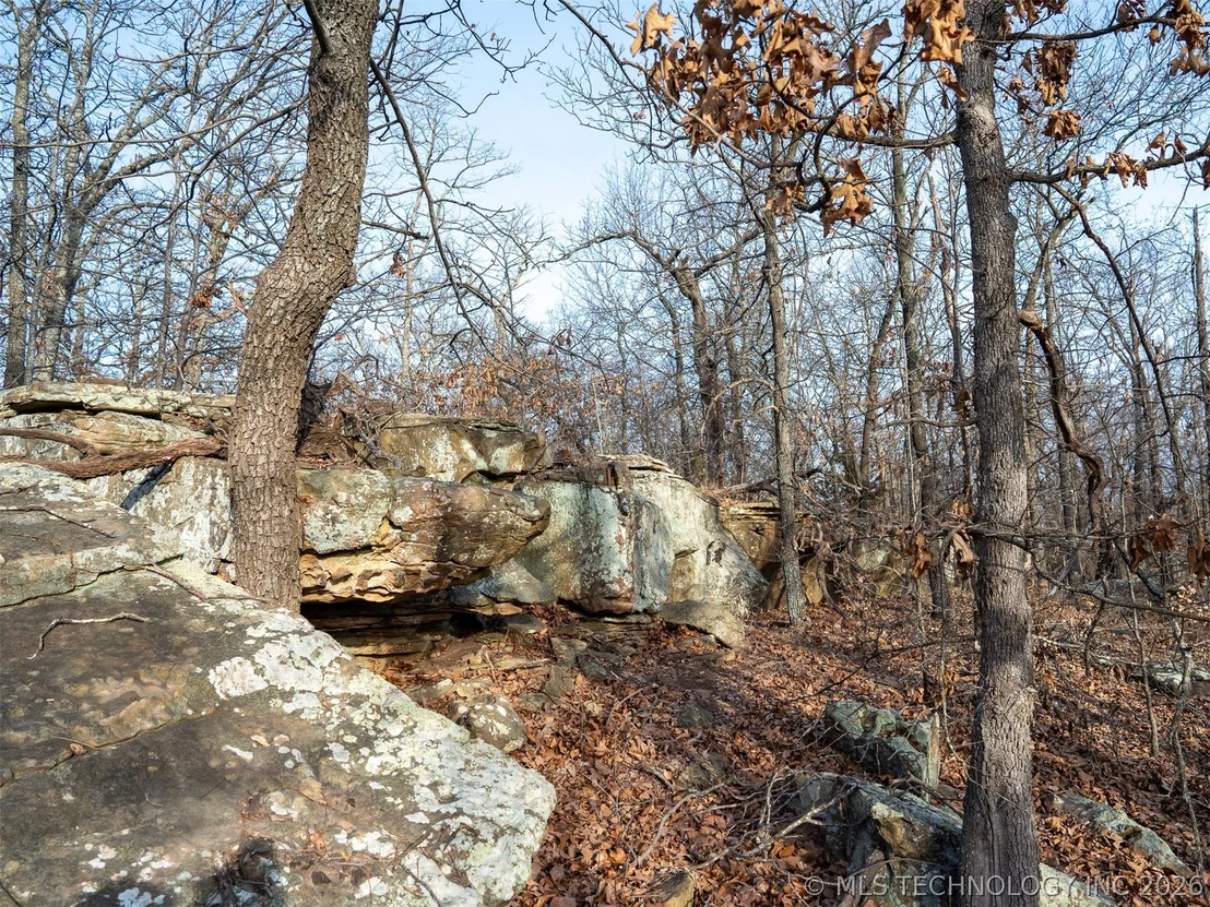 Photo of 235 County Road 2732