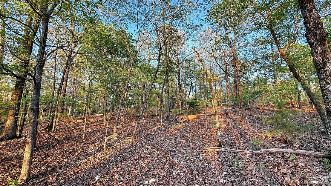 Photo of 2345 Overlook Drive