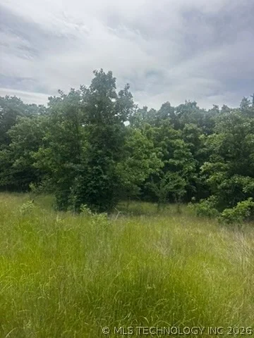 Photo of 958 S Buffalo Road