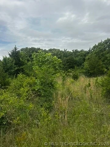 Photo of 958 S Buffalo Road