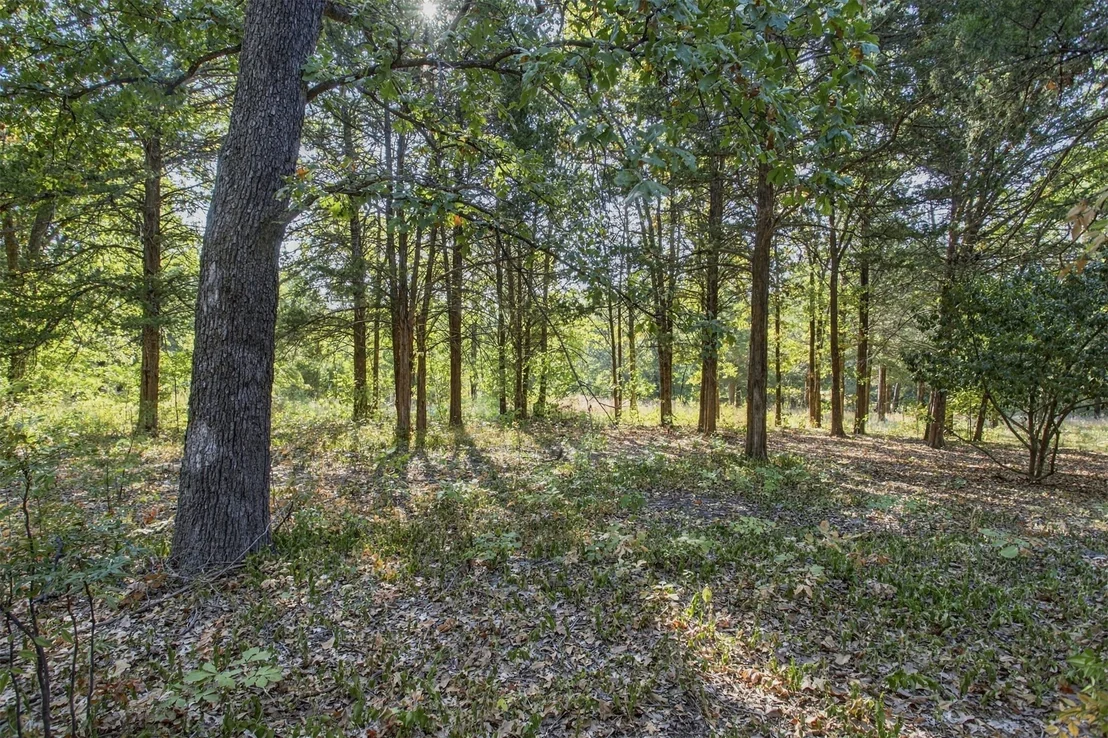 Photo of 113 Vanzandt