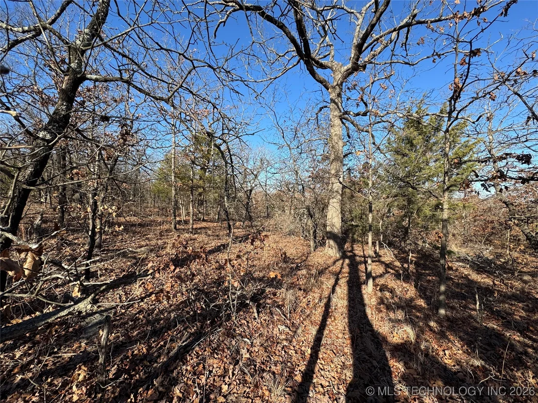 Photo of 2501 Lott Bottom