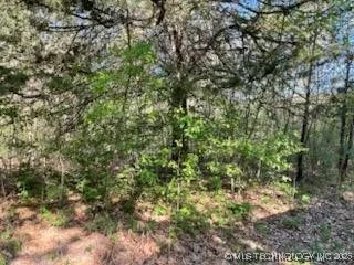Photo of 1173 Eagle Loop Drive