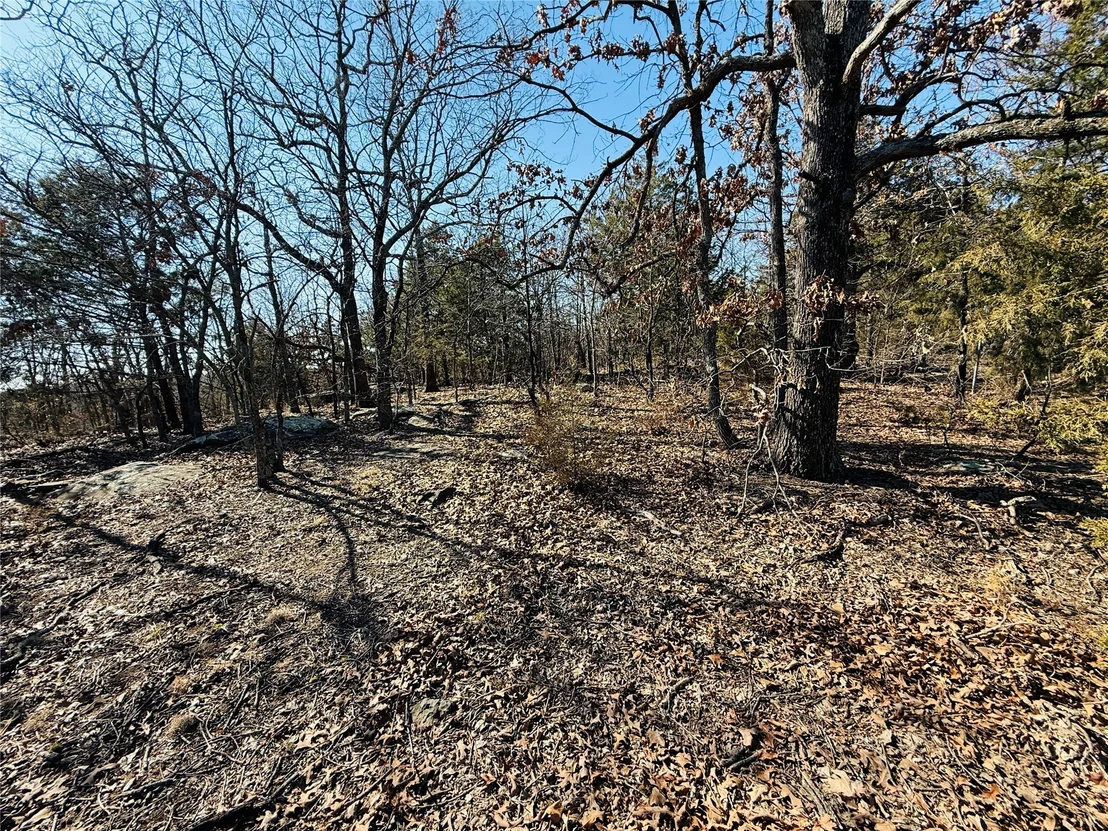 Photo of Mountain View Road