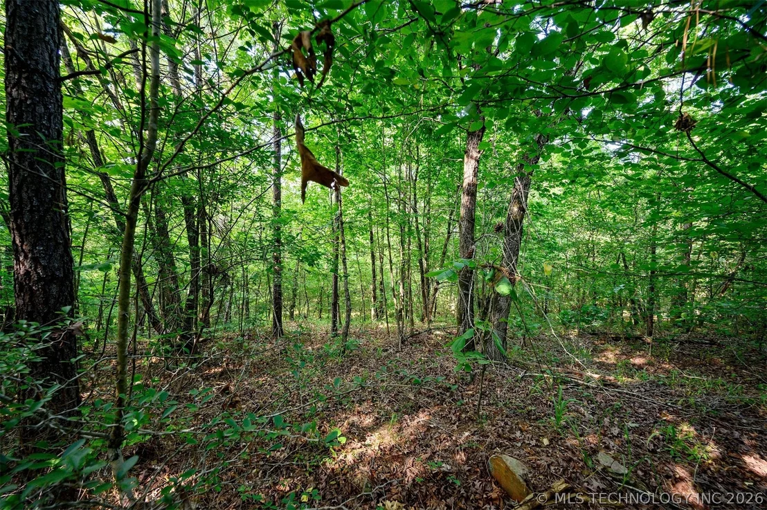 Photo of 66 Aged Acacia Trail