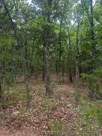 Photo of 958 S Buffalo Road