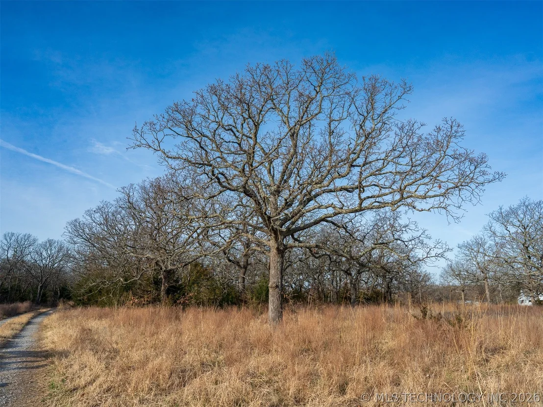 Photo of 235 County Road 2732