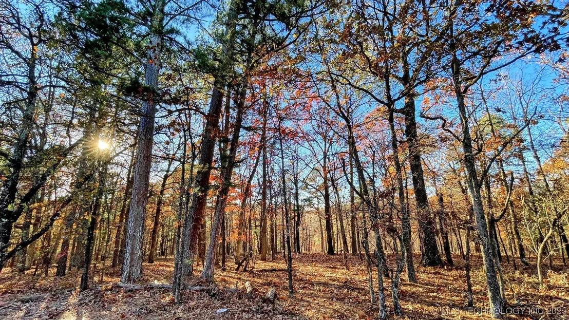 Photo of 14 Big Bear Road