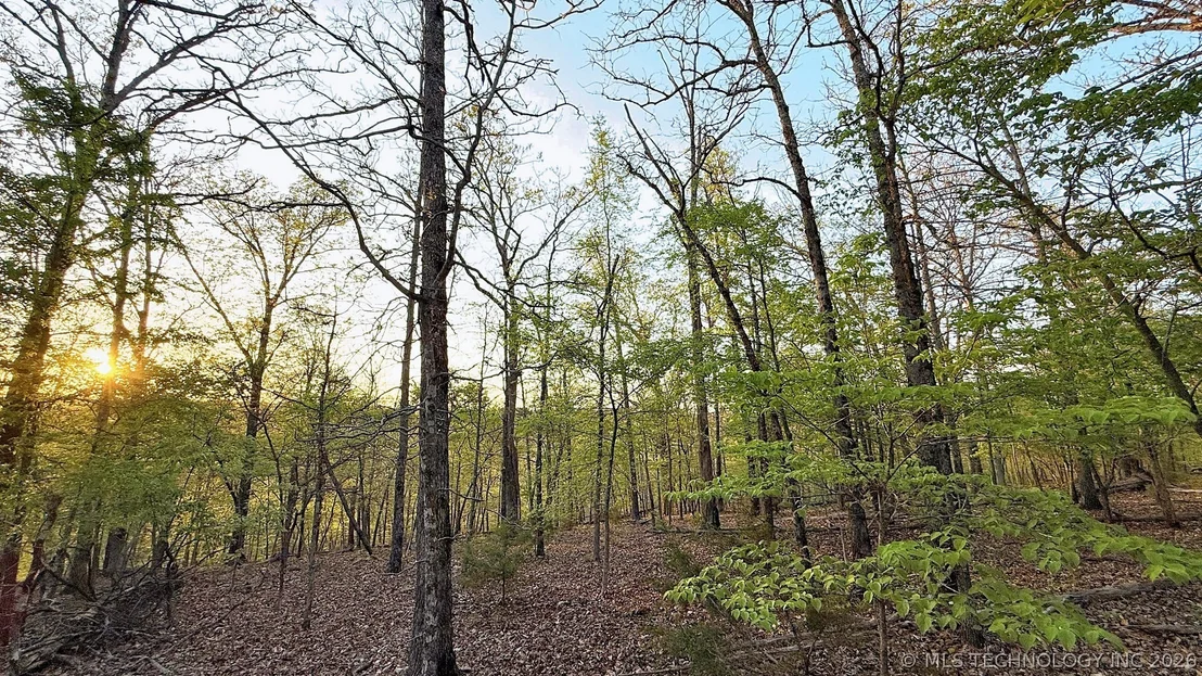 Photo of 2345 Overlook Drive