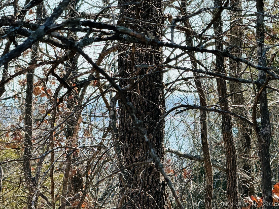 Photo of Mountain View